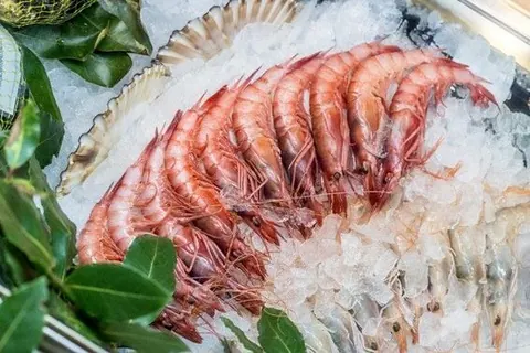 Gamba roja
