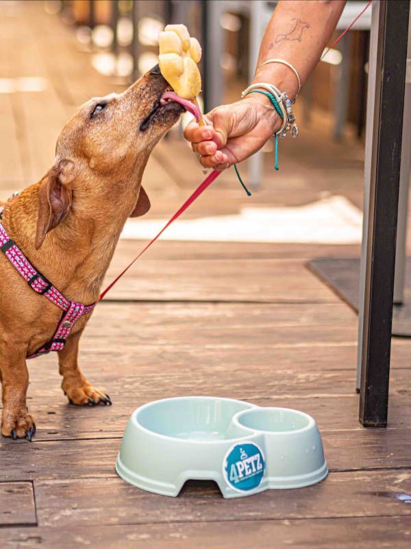 Un lugar - helado pet friendly